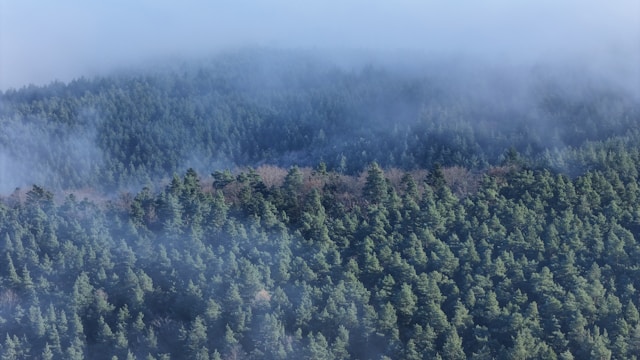 bluefire-wilderness-lawsuit